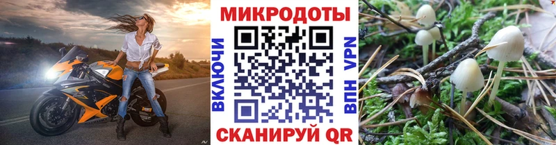 Псилоцибиновые грибы Psilocybine cubensis  Купить закладки  Гаврилов Посад 